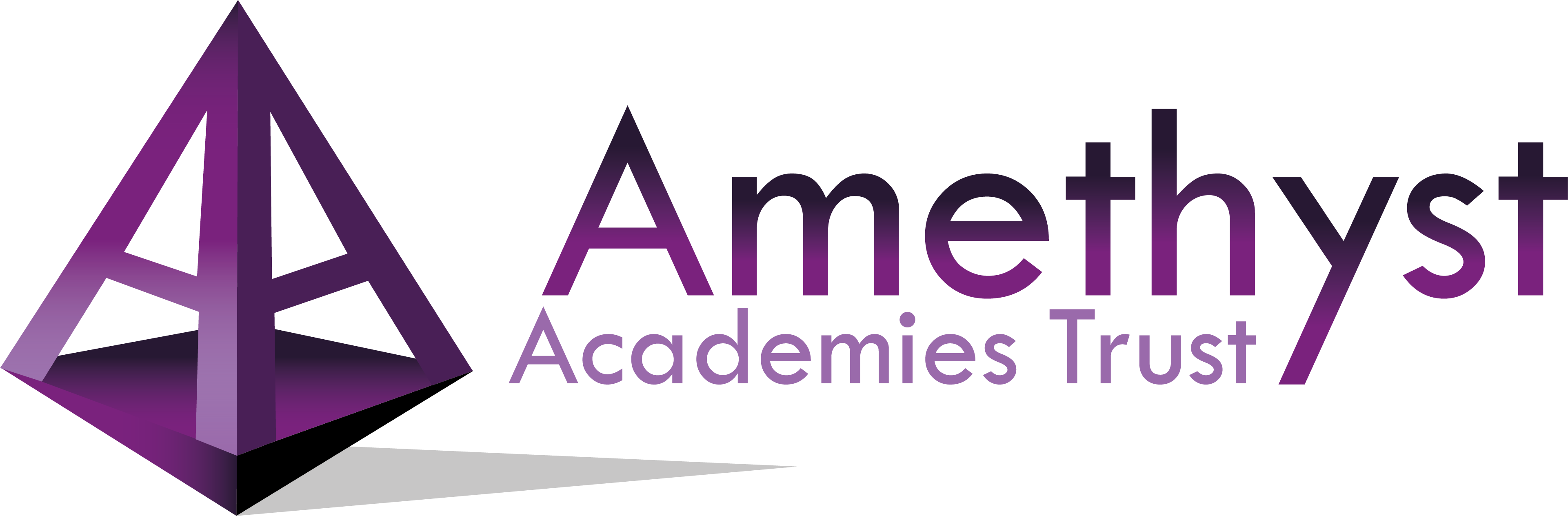 Amethyst Academies Trust Logo